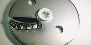 FP French Fries Disc