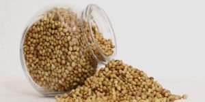 Coriander Seeds