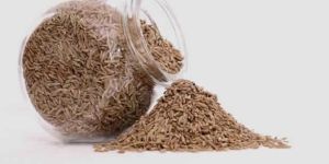 Dill Seeds