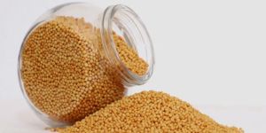 Yellow Mustard Seeds