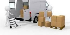 Packing & Moving Service