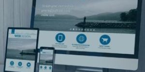 Web Development Services