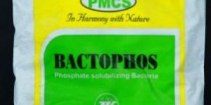 Phosphate Solubilizing Bacteria