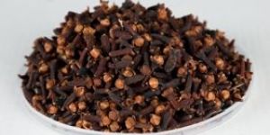 Clove Seeds