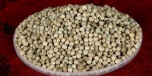 White Pepper Seeds