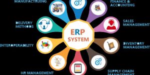 ERP Solutions Provider