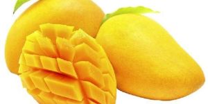 Fresh Kesar Mango