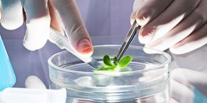 Microbiology Testing Services