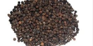 Black Pepper Seeds