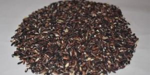 Black Rice