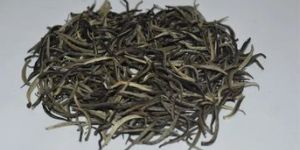 Organic White Tea