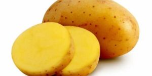 Potato