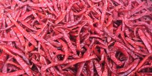 Teja Dry Red Chilli