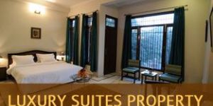 Hotels Accommodation Service