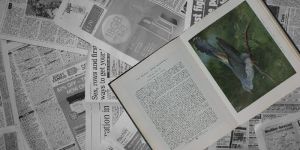 Print Advertising Services