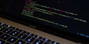 Web Development Services