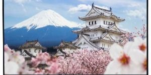 Lloyd 4K Ultra HD Clara Smart TV