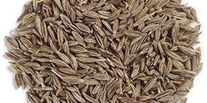 Cumin Seeds