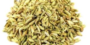 Fennel Seeds