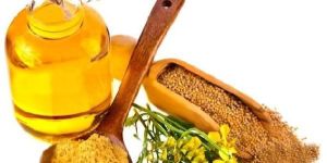 Turmeric Rhizome Oil