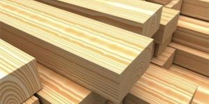 Pine Wood Timber