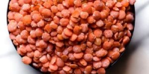 Red Lentils