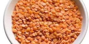 Split Masoor Dal