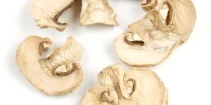 Dried Button Mushroom