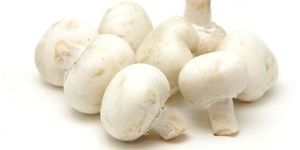 Organic Button Mushroom