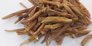 Dried Shatavari Root