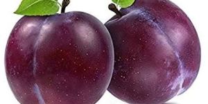 Fresh Plum