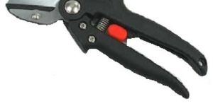 Pruning Secateur