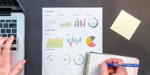 Customized Project Reports Services