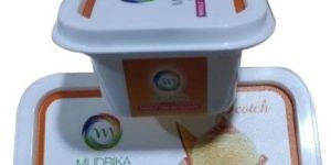 Ice Cream Disposable Container