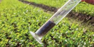 Soil Testing Services