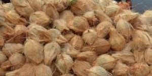 Organic Brown Coconut