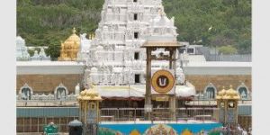 Domestic Tour Operators