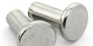 Flat Head Rivet
