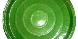 Green Paper Plates