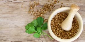 Coriander Seeds