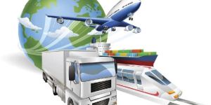 Domestic Courier Cargo Services
