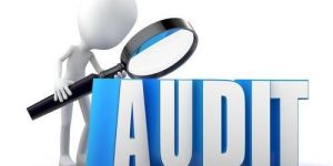 Business Audit Services
