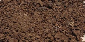 Cow Dung Powder