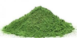 Dried Moringa Leaf Powder