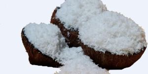Desiccated Coconut Powder