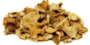 Natural Dried Oyster Mushroom
