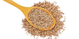 Cumin Seeds