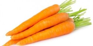 Fresh Carrot