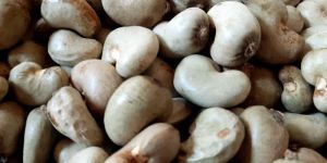 Raw Cashew Nuts