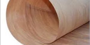 Veneer Plywood